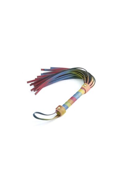 Ns Novelties Bici BDSM Spectra Whip, multicolor