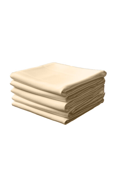 Other Champagne cloth napkins 10 pieces 50x50cm