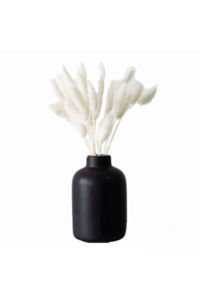 House & Garden Plantă decorativă Lagurus, uscată, 60 cm, bej