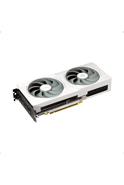 Other SPARKLE Intel Arc B570 GUARDIAN Luna OC Graphics Card