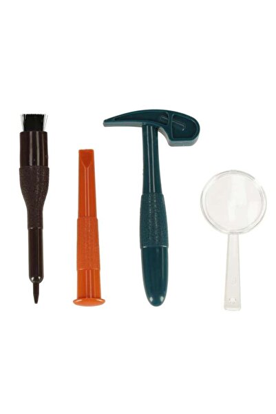 CIUPIGo Educational Archaeology Set - Amber Insect Excavation Kit with Accessories for Kids 6+