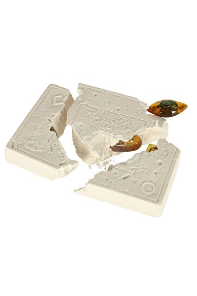 CIUPIGo Educational Archaeology Set - Amber Insect Excavation Kit with Accessories for Kids 6+