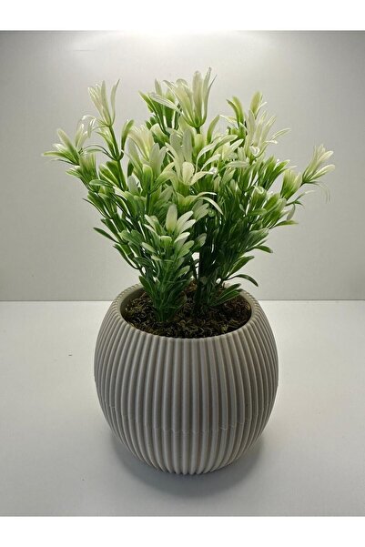 KOLAY DROP Mini Saksıda Afrika Zambağı Yapay Bitki Gerçek Taş Yosunlu 18 Cm D...