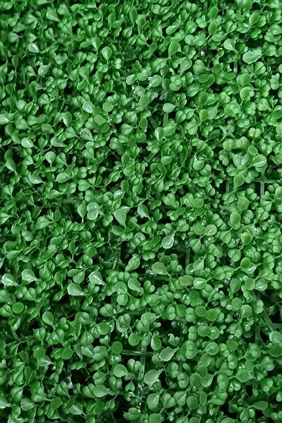 KOLAY DROP 1 Adet Yapay Duvar Kaplama Panel Bitki Şimşir Tabaka 40x60 Cm Yeşi...