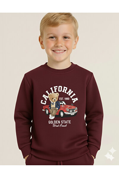 LİTTLE TORTOİSE Boys' Winter Sweatshirt Tracksuit Set