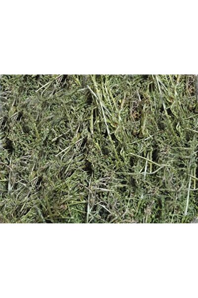 Aktar Depo Yoğurt Otu/yapışkan 500 GR