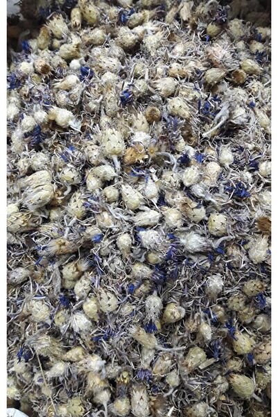 Aktar Depo Peygamber Çiçeği-mavi Kantaron 100 GR