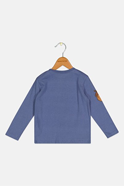 Sinsay Fox And Bunny By Toddlers Boy Disney Long Sleeve Top, Ash Blue