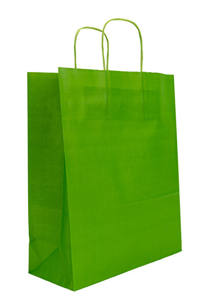 EWs Paper gift bag set 25 x 11 x 31 cm, light green, set of 10 pieces