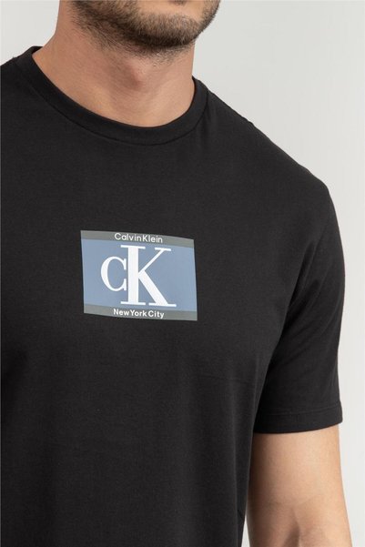 Calvin Klein Erkek Bisiklet Yaka T-Shirt Siyah