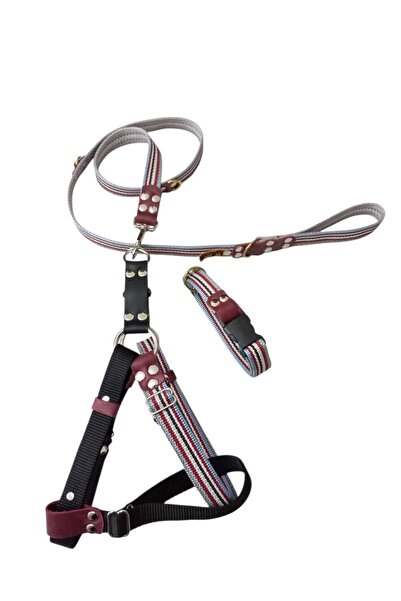 balkonda طقم طوق للكلاب مناسب للسلالات المتوسطة والكبيرة، سميك، مقاس: 50-90 سم، حزام: 130 سم، طوق: 30-50 سم، مقاسات من 6 إلى 8