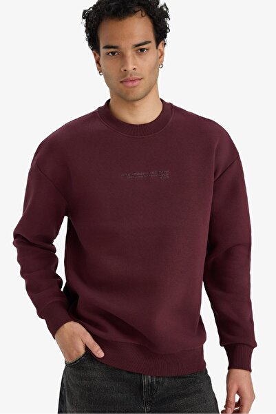 DeFacto Боксерска кройка, велосипедна блуза с обло деколте, мека фланела с принт X8282AZ25AU