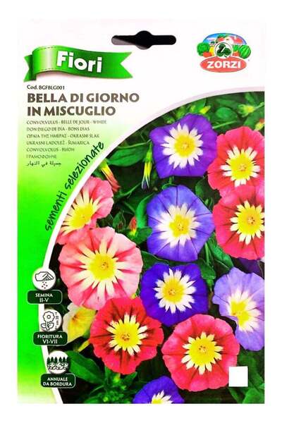 Zorzy مزيج بذور زهرة المجد الصباحي