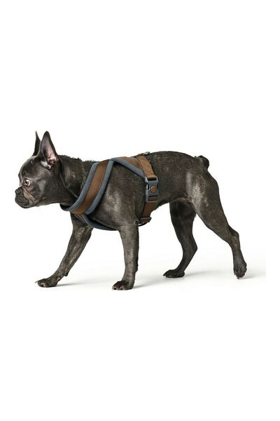 Hunter Ham pentru câini London Comfort 52-62 cm Maro Mărime S/M