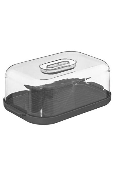 Other Cutie de brânză Fresh Eat, gri, plastic, capac etanș