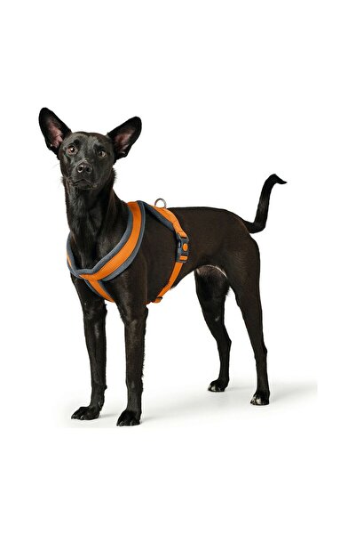 Hunter Ham pentru câini London Comfort Portocaliu S/M 52-62 cm