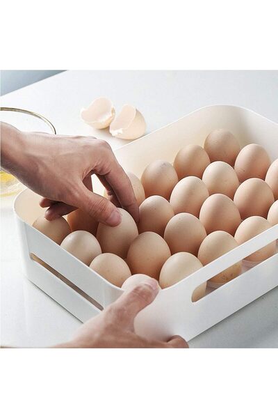 Saharaz 24-Piece Refrigerator Egg Holder with Lockable Lid - Egg Storage Container,Large Plastic Holder