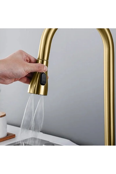 SanDonna Aster gold kitchen faucet with pull-out shower