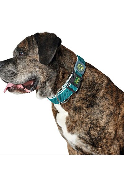 Hunter Dog collar Plus Thread Turquoise 11