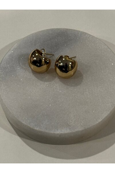 Lika Kadın çelik küpe