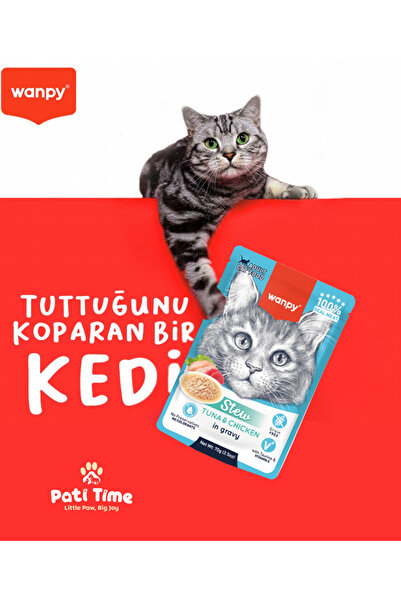 Wanpy 12li Yavru Kedi Yaş Maması Somon & Ton Balıklı Premium Kalite 12 x 70 gr