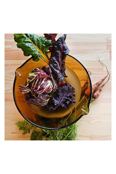 IKEA Ommjange Glass Serving Bowl Glass-Brown 30 cm