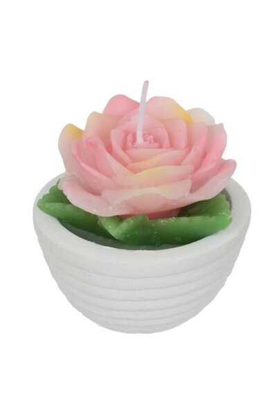 SHOPIENS Lumânare decorativă - Trandafir în ghiveci de ciment alb, Ø7 cm, H6,5 cm