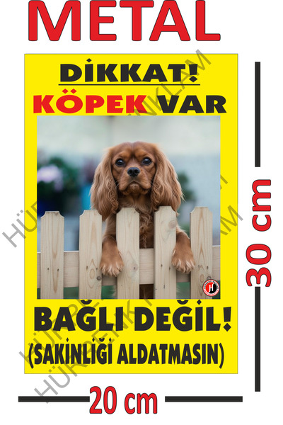 sıradışıhediyem لافتة تحذيرية: هناك كلب، لا علاقة له، مقاس 20×30، مطبوعة على ...
