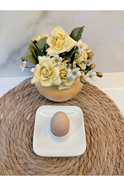 MDKLİFE Petit Concept Kare Yumurtalık