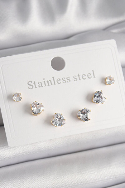 Epilons طقم أقراط نسائية من الفولاذ 316L بلون ذهبي مع حجر الزركون على شكل قلب