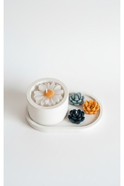 Y0&MA El Yapımı Papatyalı Dekoratif Mum Seti – Beton Stantlı + Hediye Sukulen...