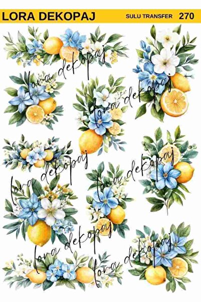 Lora Dekopaj Sulu Transfer Kağıdı - 270 25x35 cm