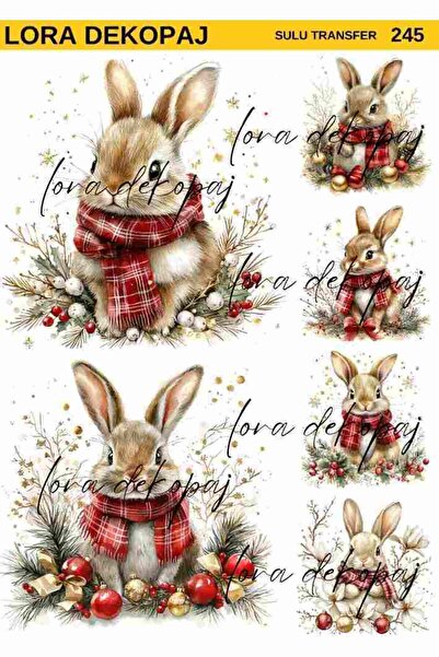 Lora Dekopaj Sulu Transfer Kağıdı - 245 25x35 cm