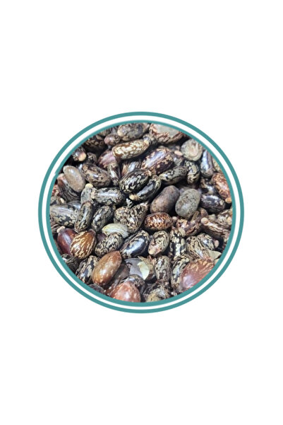 alatar بذور الخروع 250 جرام