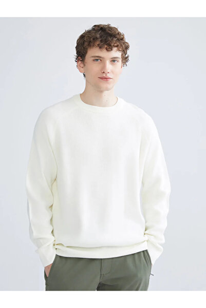 LC Waikiki Ανδρικό πλεκτό πουλόβερ με λαιμόκοψη