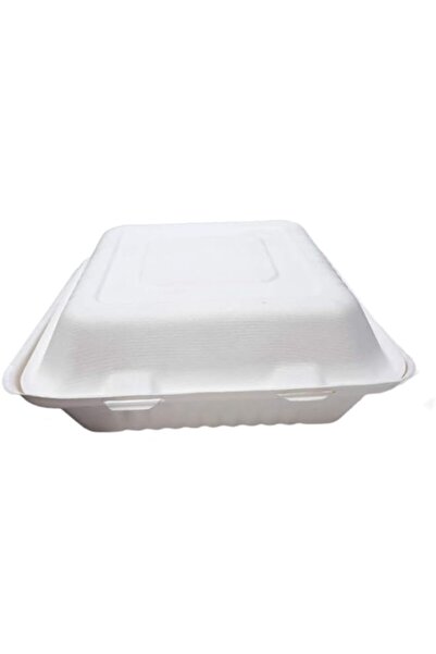 Generic SNH Packing ECO Friendly Bagasse Container With Hinged Lid 6 x 9 Disposable Eco Togo Food Microwava