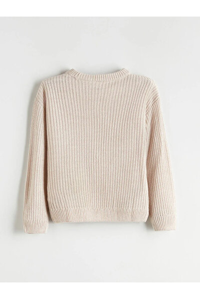 LC Waikiki Crew Neck Knitwear Boy's Sweater