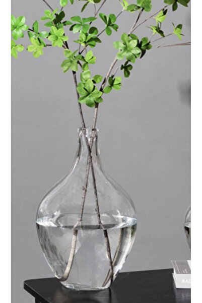mzhrea -Pure Glass Vase-Transparent