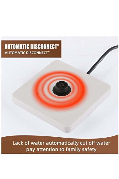 Arabest Gooseneck Electric Kettle, 0.8L Fast Boiling Hot Water Kettle, Stainless Steel Electric Tea Kettle