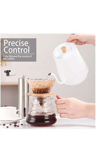 Arabest Gooseneck Electric Kettle, 0.8L Fast Boiling Hot Water Kettle, Stainless Steel Electric Tea Kettle