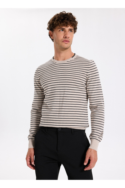 Fabrika Bisiklet Yaka Slim Fit Çizgili Vizon Erkek Kazak F5WM-KZK 2306