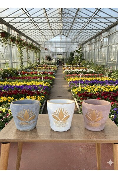 bitkidünyam Lotus Desenli Dekoratif Çiçek ve Orkide Saksı - 3 Farklı Renk