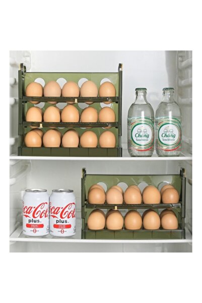 easybox Flippy Egg Organizer for Fridge, Transparent Green, 20-Egg Capacity, 2-Tier (25.5x10x17 cm)