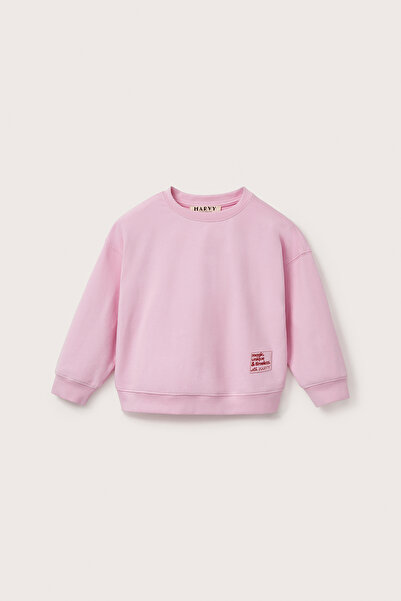 Marvy Pink Oversized Embroidered Sweatshirt