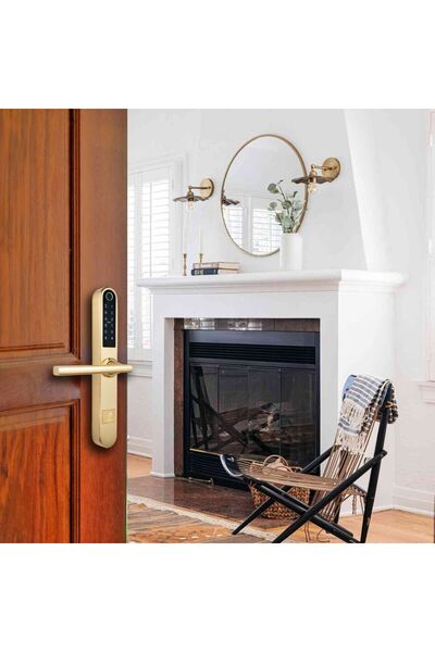 Smartpass Yala MONACO Gold – TTLock smart lock with , Bluetooth, Wi-Fi, PIN, RFID