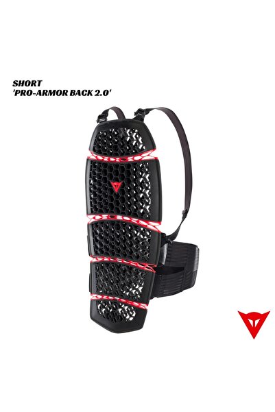 Dainese Pro-Armor Back Short Black Sırtlık