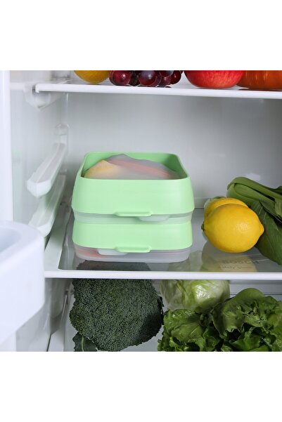 Flippy Food Storage Container, Airtight, Plastic, 22x14.7x5 cm, Green