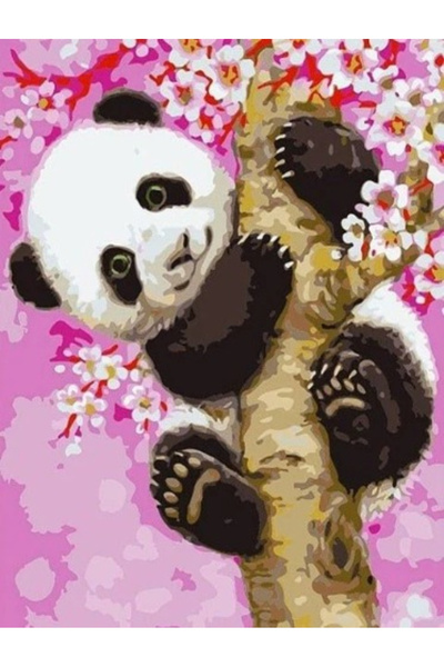 Krista Tablou pe pânză PM703 Pictură pe numere, înrămată, 20x30 cm, Panda în ...