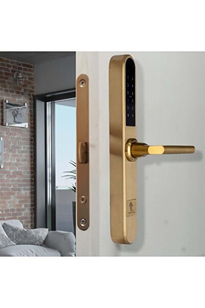 Smartpass Yala PARIS GOLD – TTLock smart lock with , Bluetooth, Wi-Fi, PIN, RFID