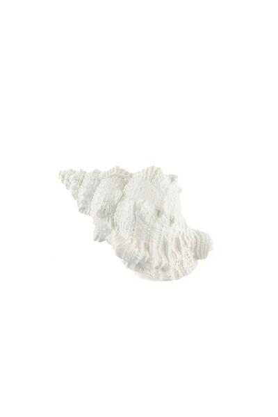 Mikasa Moor Beyaz Deniz Salyangozu Obje 17x12x10cm
